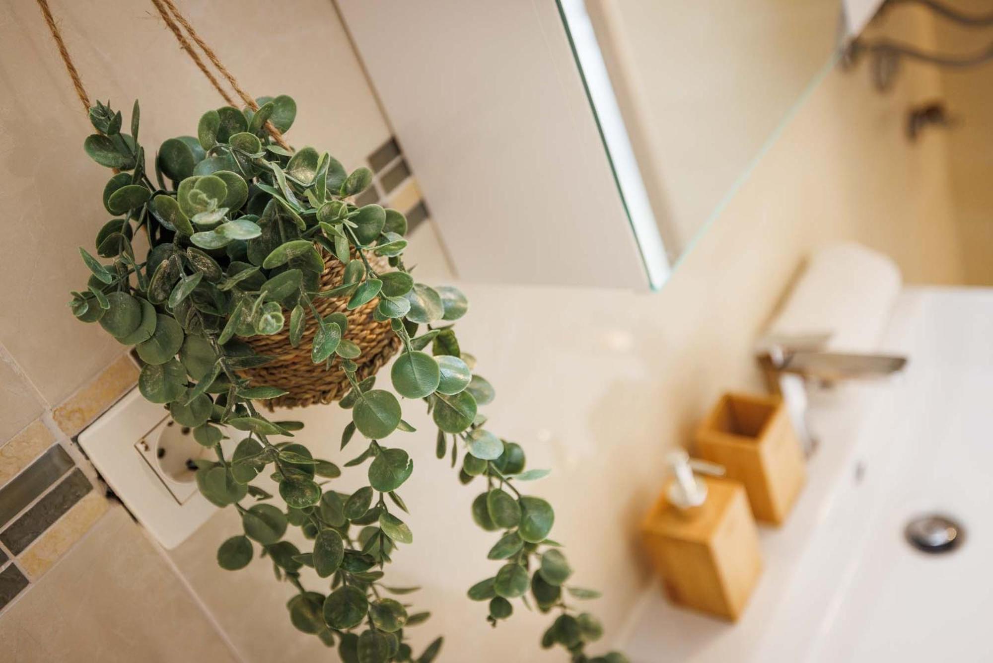 Apartment Katalin Kornic Ngoại thất bức ảnh